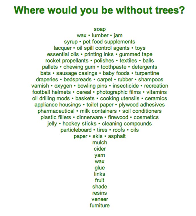 Trees Give Us Wisconsin County Forest Association